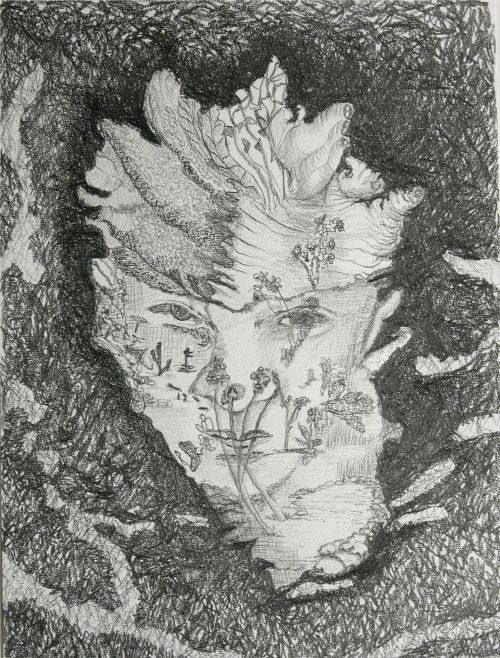 This is picture 1