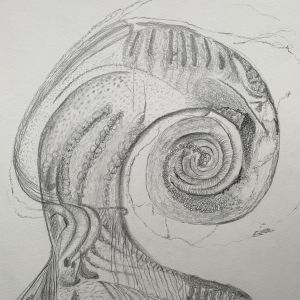 Heteropodes' portret; 30x40 grafiet tekening op papier 2024 € 110,-
