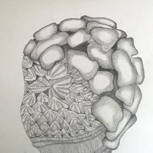 Botanische portretten (recent)