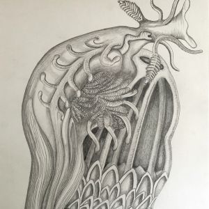 Naaktslak 1; grafiet op papier 30x40; € 110,-
