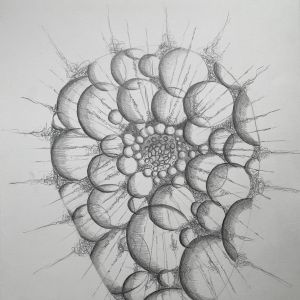 stralen diertje portret; 30x40 grafiet tekening op papier 2024 € 110,-