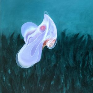 Deepstaria 2 (80x105)