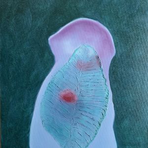 Deepstaria 5 (30x40)