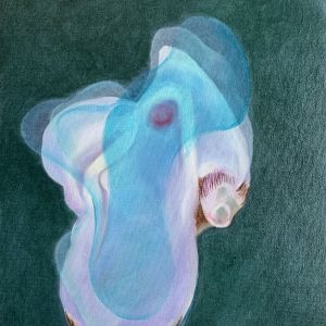 Deepstaria 6 (30x40)